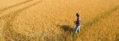 IMG_Signup_Banner_Local_SR_STR_01 _2_Corteva-EU-GB-V1